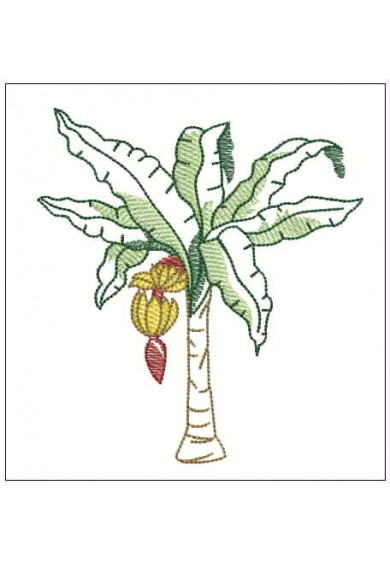 Plf086 - Banana tree